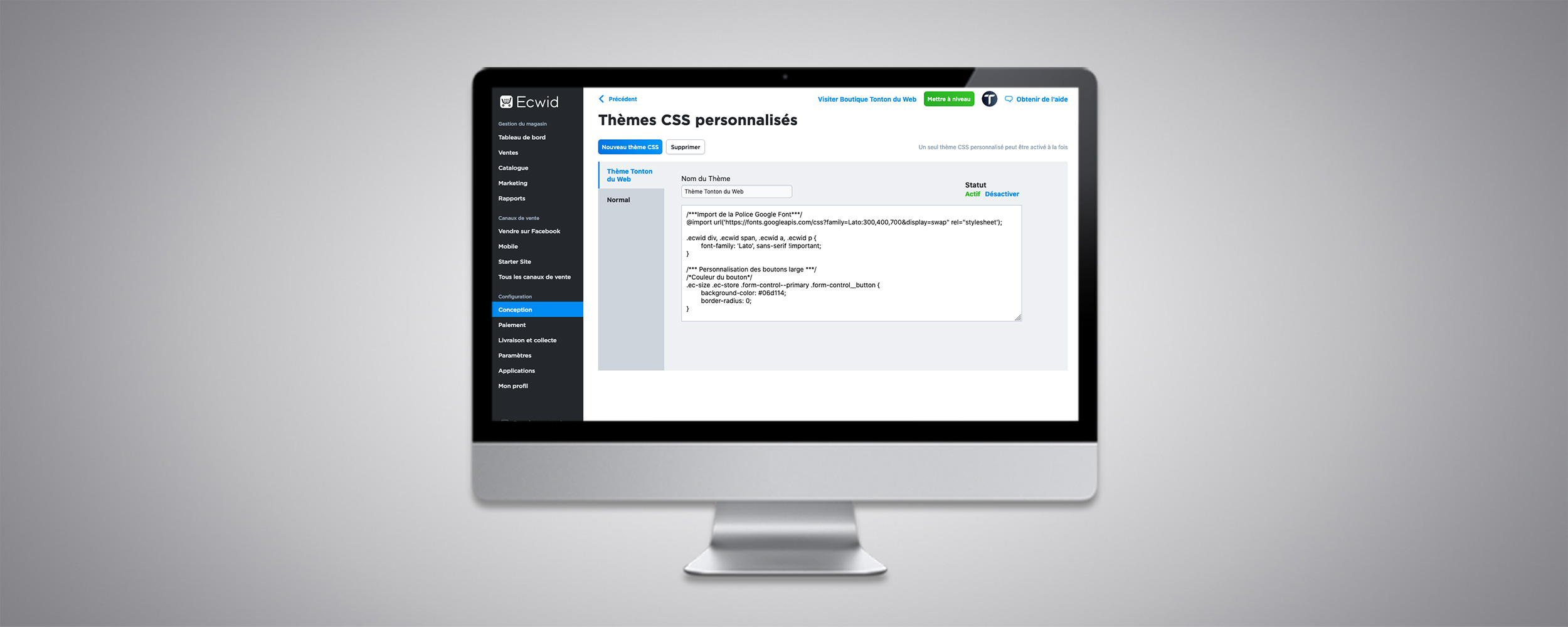 Personnalisation css d'une boutique en ligne Ecwid